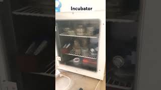 lab incubator [upl. by Ahseen]