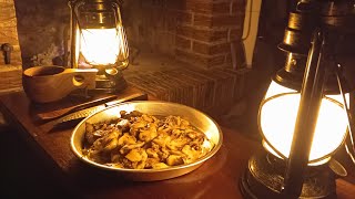 Solo Bushcraft in small cabin  Beef escalopes with champignon mushrooms cooked over the fire 🔥 [upl. by Aihsotal]