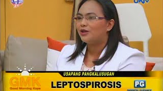 What is Leptospirosis [upl. by Lledal]