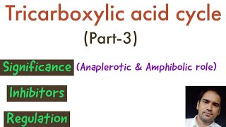 Tricarboxylic acid cycle  Part 3  Significance Inhibitors Regulation Anaplerotic reactions [upl. by Hardin216]