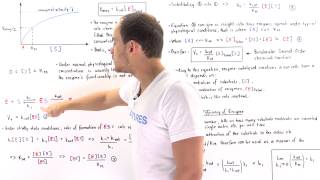 Catalytic Efficiency of Enzymes kcatKm [upl. by Bron880]