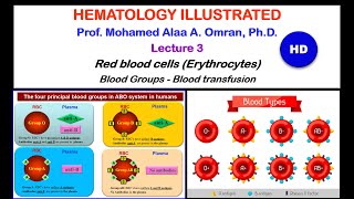 Hematology Lecture 32020 HD [upl. by Joktan195]