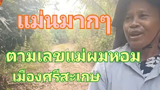 แม่นมากๆ แม่ผมหอมหมายเลข ตามต่องวด 1 เมษายน 67 [upl. by Newell971]