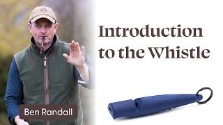 Introduction to the Whistle [upl. by Sorel]