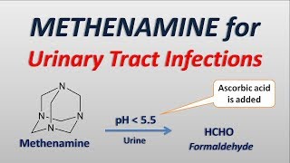 Methenamine for Urinary tract infections [upl. by Alaehcim]