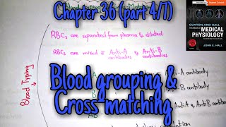 Blood grouping and cross matching  chapter 36 part 47 Guyton and Hall text book of physiology [upl. by Seema]