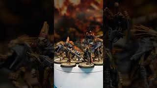 Kroot Test Models Warhammer 40K [upl. by Hsirap]