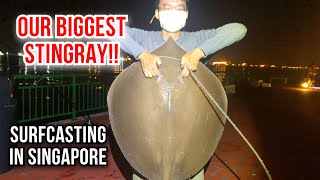 OUR BIGGEST STINGRAY SO FAR Surfcasting at Bedok Jetty  Singapore Fishing [upl. by Damas]