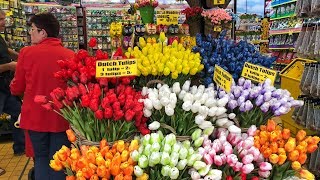 Amsterdam walking through Flowermarket amp Kalverstraat [upl. by Durkee]