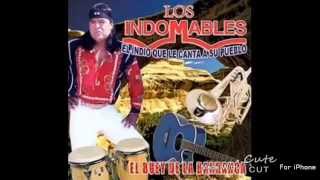 Los Indomables El Buey de La Barranca [upl. by Ahsaelat846]