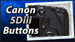 Canon 5Diii  External Buttons  Training Tutorial Manual Video [upl. by Morel]