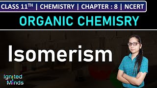 Class 11th Chemistry  Isomerism  Chapter 8 Organic Chemistry  NCERT [upl. by Doll]