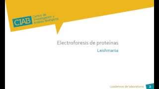 Electroforesis de proteínas Leishmania CIAB wwwciabes [upl. by Ziguard81]