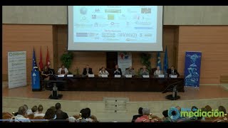 World Mediation Summit Madrid 2017 ¡Así se vivió [upl. by Elysee469]