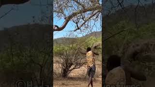 Skilled Hadza tribe bushmen poses great archery skills [upl. by Borras]