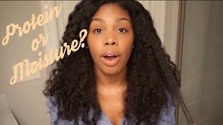 Does Your Curly Hair Need Protein or Moisture With TIPS [upl. by Cryan]