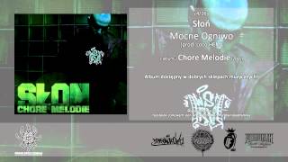 04 Słoń  Mocne Ogniwo prod Loco HCM [upl. by Htomit]