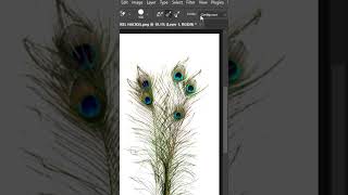 Easy Way to Make Flawless Feather Selection in Photoshop shorts [upl. by Aifos]