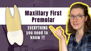 Maxillary First Premolar  The Definitive Tooth Anatomy Study Guide for Dental Students [upl. by Leasia]