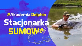 Stacjonarka sumowa na Odrze 2024  Akademia Delphin [upl. by Corty259]