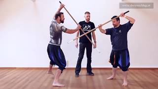 How To Fight With The Quarterstaff 5 – Durchwechseln and Zucken [upl. by Allegra623]