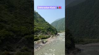 UttarakhandDehraduntrending shortvideo travel nature uttarakhand 🌲🌺 [upl. by Kutzer]