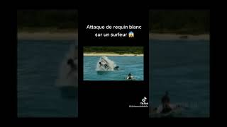 attaque de 🦈😱 [upl. by Moises533]