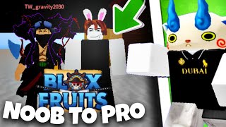 FR  Noob to PRO Blox Fruit  Et peut être Fortnite après [upl. by Manning]