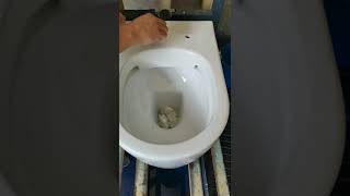 Rimless toilet paper flush test [upl. by Johnsson]