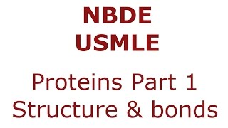 Proteins Part 1  Structure and Bonds  NBDE Biochemistry [upl. by Anelegna]