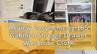 Review Easyhomesg 165 Cabinet Storage Drawer Wardrobe Clothes Rack Shelf Home Organizer Closet [upl. by Naimerej]