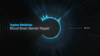 Blood Brain Barrier Repair [upl. by Scrivings]