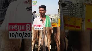 50000K Profit vivasayaarvalargal dairyfarming shortvideo shorts [upl. by Oniuqa424]