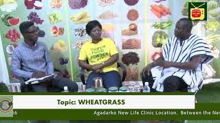 AGADARKO WHEATGRASS [upl. by Koressa]