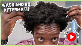 How to Detangle 4C Hair  Wash Day Tips amp Tricks [upl. by Eemia103]