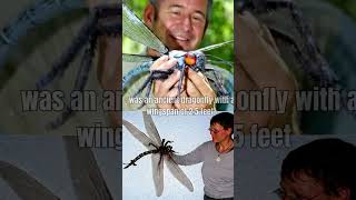 Meganeura The Giant Dragonfly of the Prehistoric WorldMeganeuraGiantDragonflyPrehistoricInsects [upl. by Eehtomit]