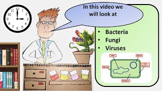 GCSE Biology Pathogens Revision [upl. by Merchant]