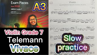 ABRSM 2024 Violin Grade 7 A3 Vivace 2nd movement from FantasiaTelemann英國皇家小提琴七級試 Slow practice [upl. by Rahr548]