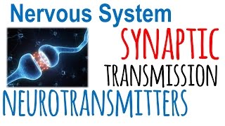 Synaptic transmission and neurotransmitters [upl. by Modesty]