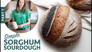 Simple Sorghum Sourdough  Part 1 GlutenFree Vegan Bread [upl. by Aisaim804]