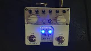 Mooer Reecho Pro  Delay  Review [upl. by Hgielanna]