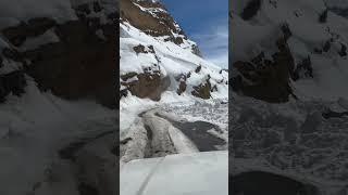 Winter Snowleopard Expidition in kibber spiti valley [upl. by Ennayd]