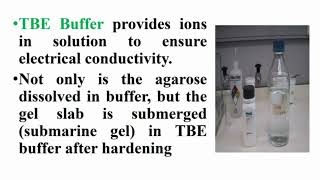 Electrophoresis and TBE Buffer Meaning [upl. by Cooper]