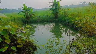 Bangladeshi Farmhouse Khamar bari সমন্বিত কৃষি খামার। খামার বাড়ি। বাগান বাড়ি bdkrishiculture [upl. by Serilda301]