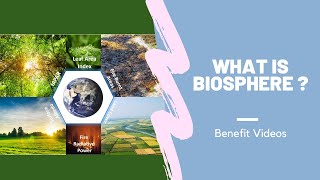 What Is Biosphere [upl. by Hermon]