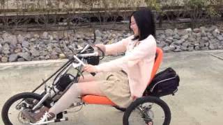 Handbike Japan Tour at Gamagorim4v [upl. by Huei491]