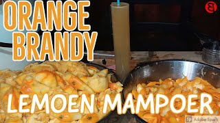 How to make Orange Brandy Orange Mampoer recipe Part 1 [upl. by Anaujnas]