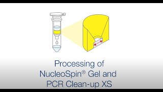 Processing of NucleoSpin Gel and PCR Cleanup XS [upl. by Cocks158]