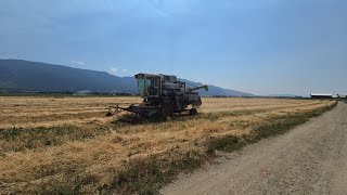 LOW HOUR F2 GLEANER COMBINE [upl. by Huey]