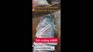 Fish cutting ASMR team Machine or manual [upl. by Atilam]